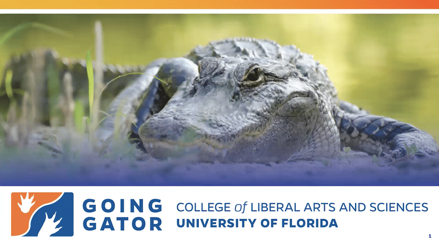 Slide with alligator photograph and the words Going Gator: College of Liberal Arts and Sciences University of Florida
